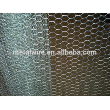Chicken Wire Netting/wire net/wire mesh manufacturer